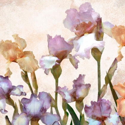 Picture of IRISES PANEL I