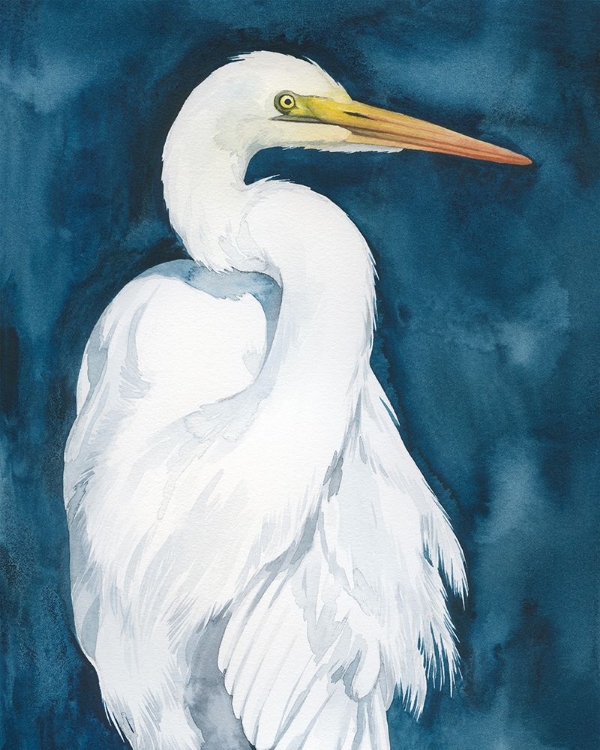 Picture of MIDNIGHT HUNTER I