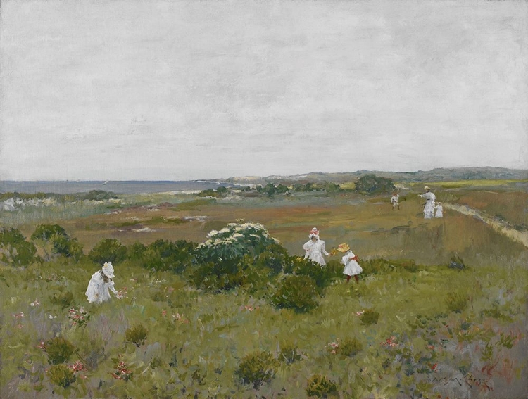 Picture of SEASIDE FLOWERS 1897