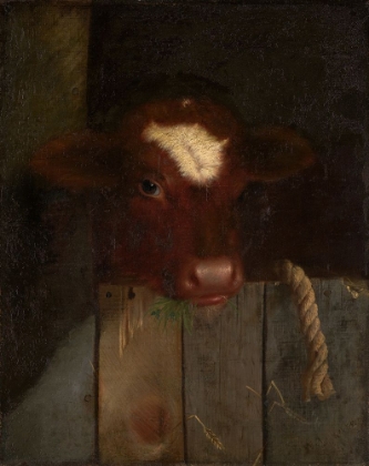 Picture of THE FAMILY COW, CALFS HEAD 1869