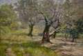 Picture of THE OLIVE GROVE 1910