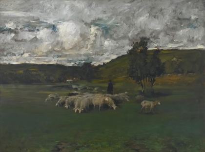 Picture of VIEW NEAR POLLING