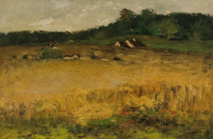Picture of WHEAT FIELD