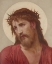 Picture of THE CROWN OF THORNS