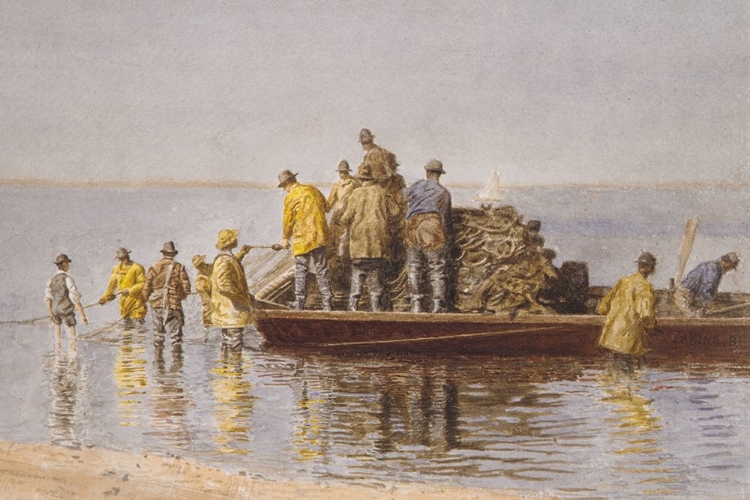 Picture of TAKING UP THE NET 1881