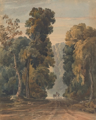 Picture of HORSE, CART AND DRIVER ON WIDE, TREE-LINED LANE