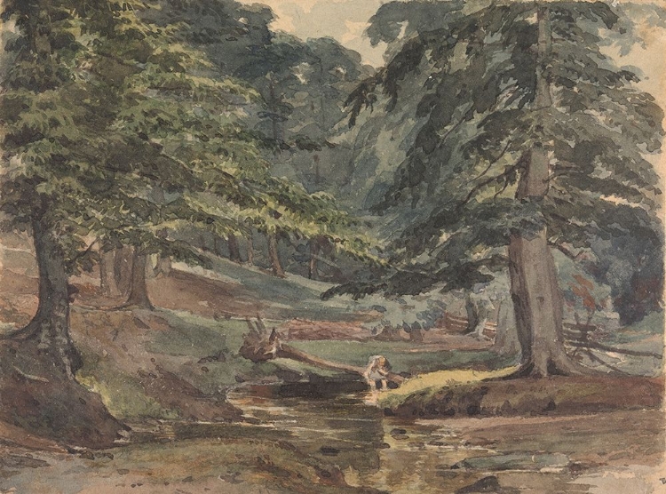 Picture of WOODED RIVER SCENE