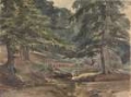 Picture of WOODED RIVER SCENE