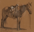 Picture of HORSE STUDY 1905