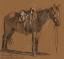Picture of HORSE STUDY 1905