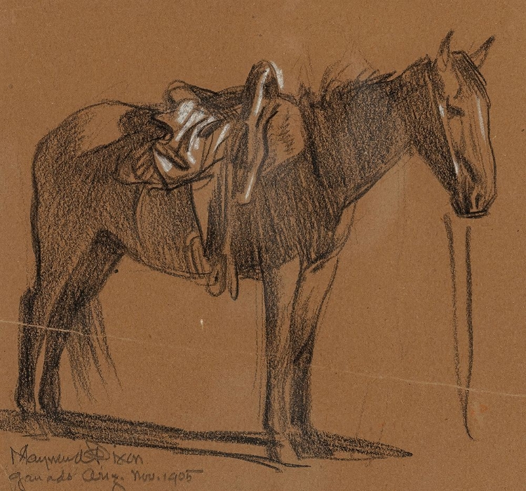 Picture of HORSE STUDY 1905