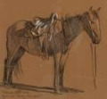 Picture of HORSE STUDY 1905