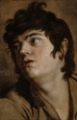Picture of HEAD OF A YOUNG MAN 1601