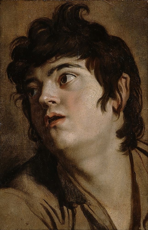 Picture of HEAD OF A YOUNG MAN 1601