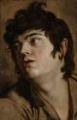 Picture of HEAD OF A YOUNG MAN 1601