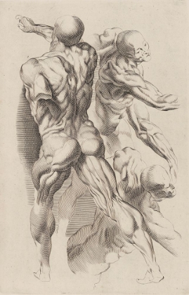 Picture of STUDY OF TWO NAKED MEN