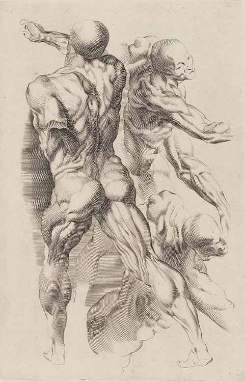 Picture of STUDY OF TWO NAKED MEN
