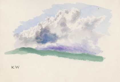 Picture of NATURSTUDIE VI 1924