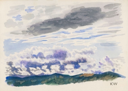 Picture of NATURSTUDIE VII 1924