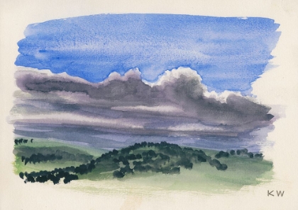 Picture of NATURSTUDIE XI 1924