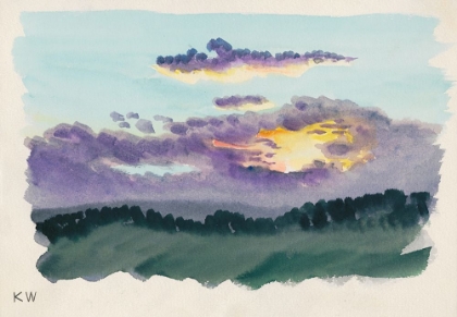 Picture of NATURSTUDIE XIII 1924