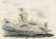 Picture of NATURSTUDIE XIX 1924