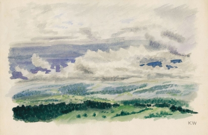 Picture of NATURSTUDIE XLI 1924