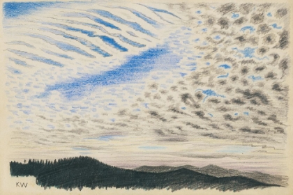 Picture of NATURSTUDIE XLVI 1924