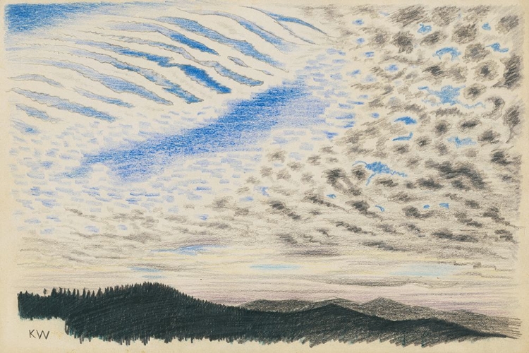 Picture of NATURSTUDIE XLVI 1924