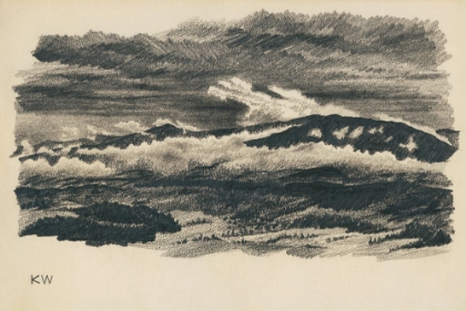 Picture of NATURSTUDIE XLVIII 1924