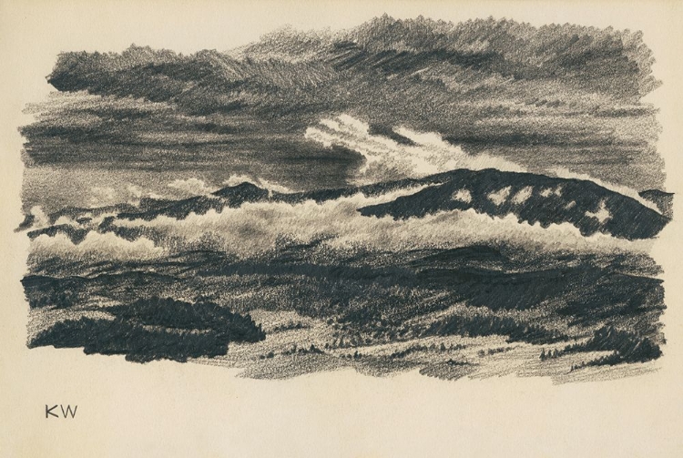 Picture of NATURSTUDIE XLVIII 1924