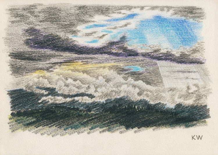 Picture of NATURSTUDIE XV 1924