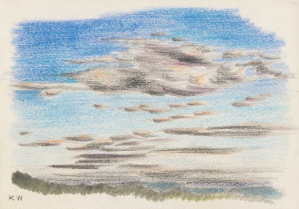 Picture of NATURSTUDIE XVII 1924