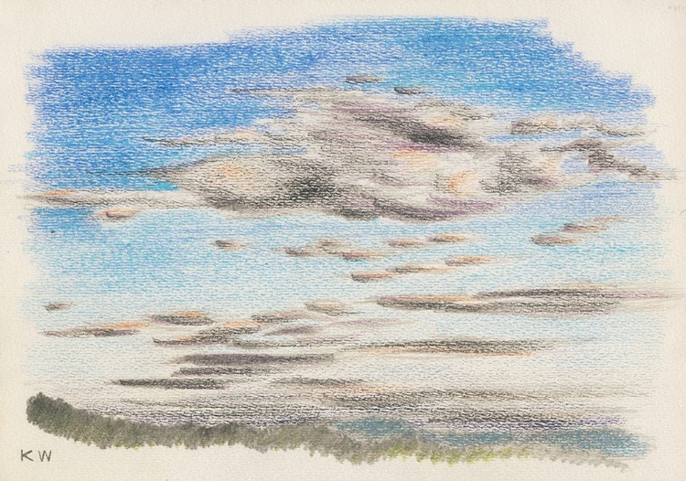 Picture of NATURSTUDIE XVII 1924