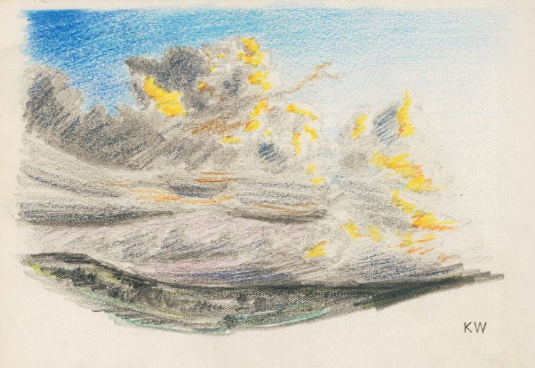 Picture of NATURSTUDIE XX 1924