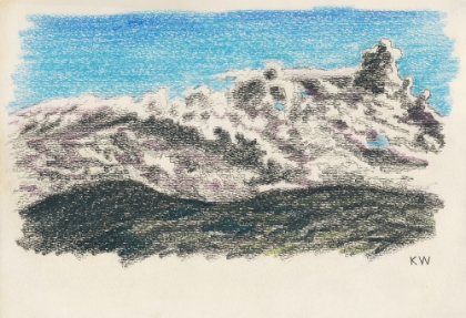 Picture of NATURSTUDIE XXI 1924