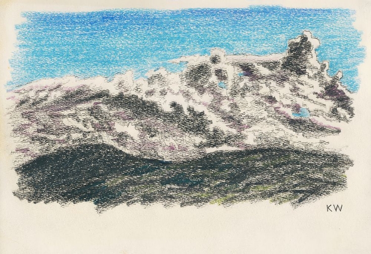 Picture of NATURSTUDIE XXI 1924