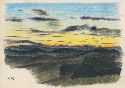 Picture of NATURSTUDIE XXII 1924