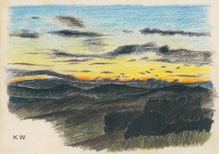 Picture of NATURSTUDIE XXII 1924