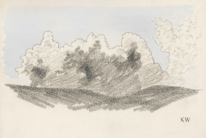 Picture of NATURSTUDIE XXIII 1924