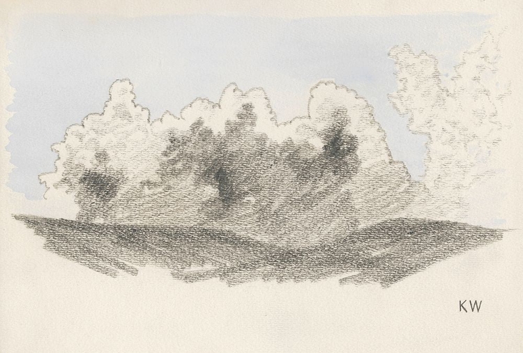 Picture of NATURSTUDIE XXIII 1924