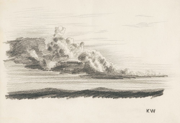 Picture of NATURSTUDIE XXIV 1924