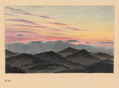 Picture of OHNE TITEL NATURSTUDIE 1924 IV