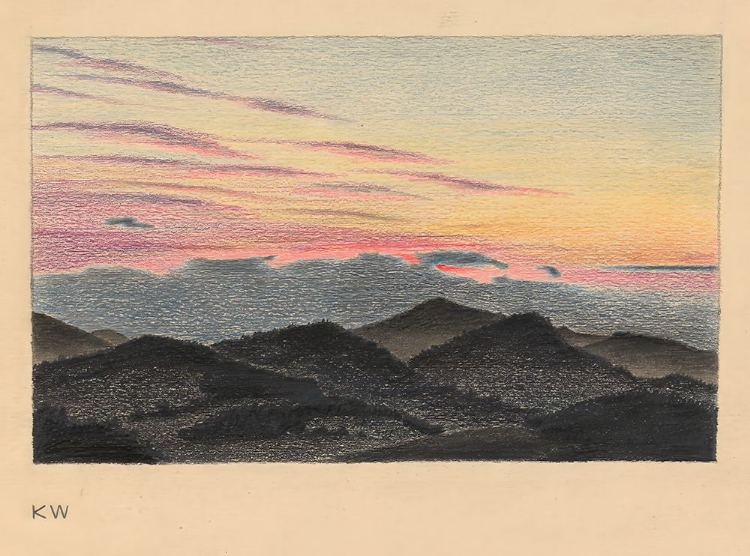 Picture of OHNE TITEL NATURSTUDIE 1924 IV