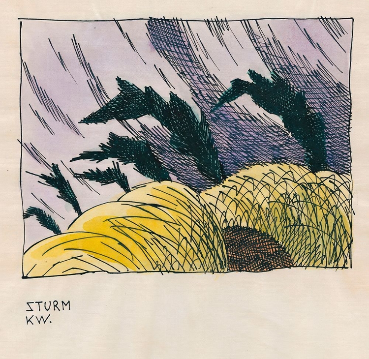 Picture of STURM 1921