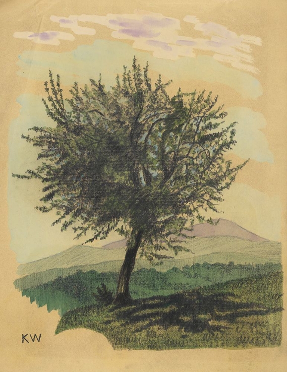 Picture of LAUBBAUM IN LANDSCHAFT 1924