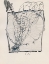 Picture of AUS MEINEM LEBEN, 50 BLATTER XV 1923