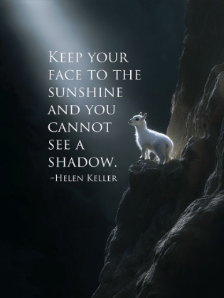 Picture of LIFE QUOTES II