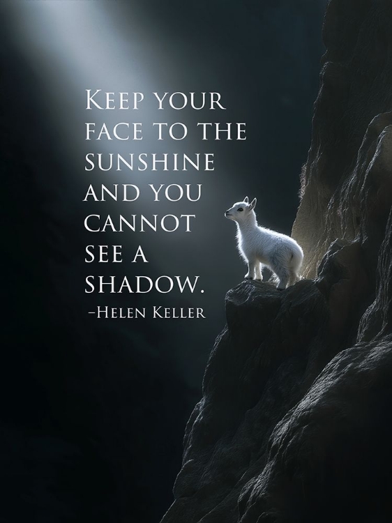 Picture of LIFE QUOTES II