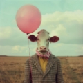 Picture of COW BALLOON BUDDY